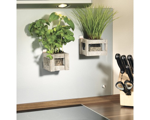 Två väggmonterade örtkrukor med basilika och gräs i en köksdekoration.