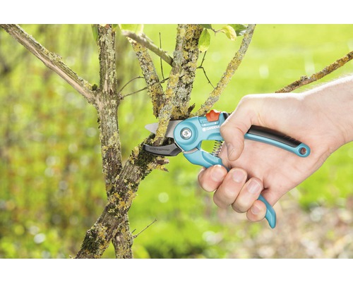 En hand klipper en gren med en Gardena trädgårdssax.