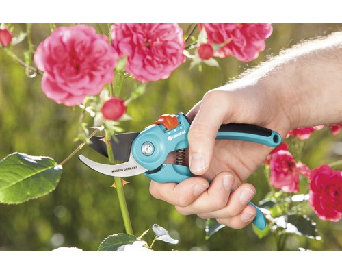 Trädgårdssax klipper rosenstjälk, hålls av en hand. Gardena logotyp.
