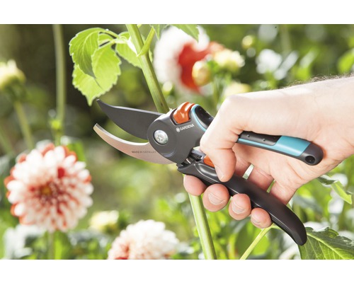 En hand skär en stjälk i trädgården med en Gardena trädgårdssax.