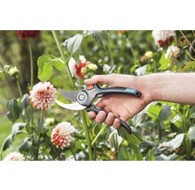 Trädgårdssax i handen framför blomsterrabatt