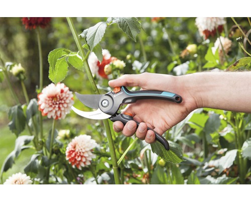 Trädgårdssax i handen framför blomsterrabatt