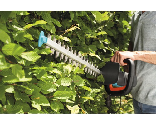 Person beskär häck med häcksax