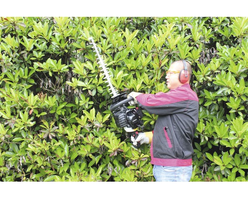 En person klipper en häck med en häcksax. Personen bär skyddskläder.