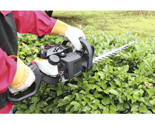 Person använder en häcksax för att trimma en häck