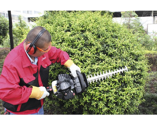 Man klipper häck med häcksax