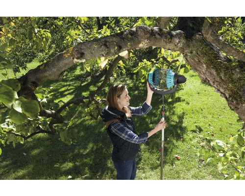 Kvinna skördar frukt med en fruktplockare i ett träd i trädgården