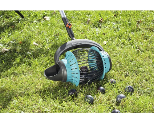 Gardena fruktplockare i bruk på en gräsmatta med plommon.