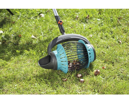 Gardena bärplockare på gräsmatta med kastanjer