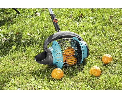 Gardena fruktplockare på gräsmatta med apelsiner