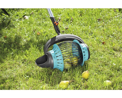 Gardena fruktplockare i bruk på en gräsmatta med mogen frukt.