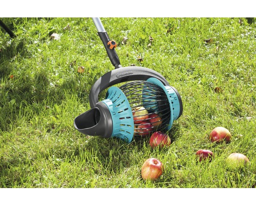 Äppelplockare för att samla fallfrukt i trädgården