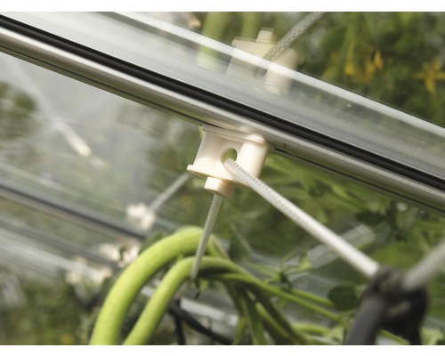 Detaljvy av ett växthusinteriör med snörhållare