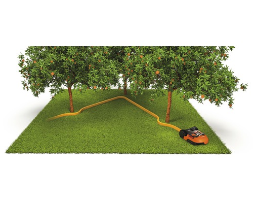 Scen med robotgräsklippare, begränsningskabel och fruktträd på gräsmatta