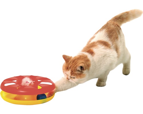 Katt leker med interaktiv kattleksak med mus