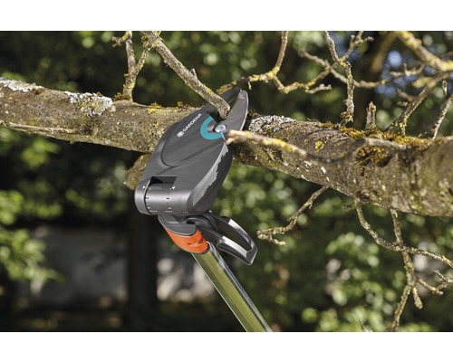 Gardena grensax klipper en gren