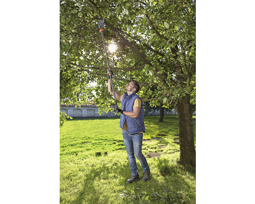 En man beskär grenar från ett träd i trädgården med en teleskopisk grensax.