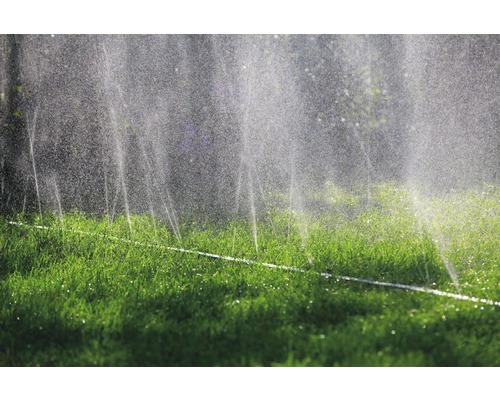 Bevattningssystem i trädgården som vattnar gräsmattan