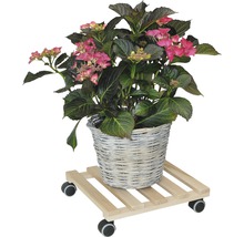 Blomvagn WAGNER Multiroller 35x35cm 100kg
