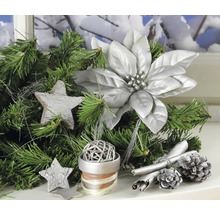 Juldekoration med grangrenar, stjärnor, julstjärna, kanelstänger och kottar