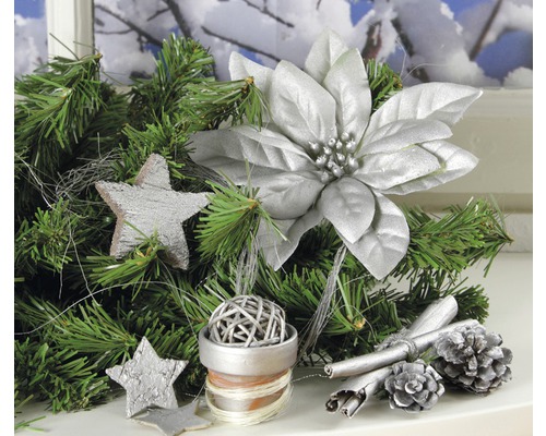 Juldekoration med grangrenar, stjärnor, julstjärna, kanelstänger och kottar