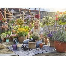 Kvinna planterar blommor på en solig balkong med blomkrukor, växter och trädgårdsredskap.