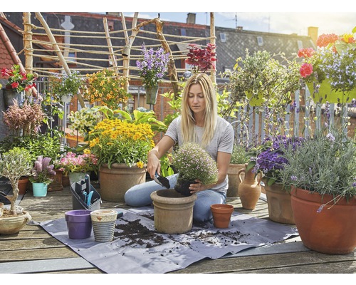 Kvinna planterar blommor på en solig balkong med blomkrukor, växter och trädgårdsredskap.