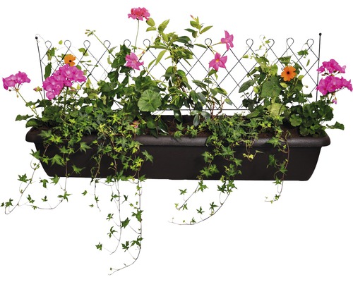 Blomlåda med spaljé och olika växter