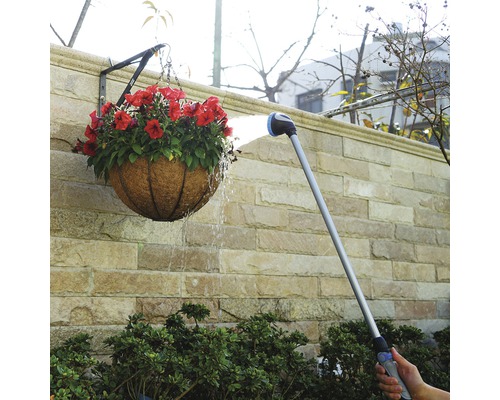 Bevattning av en hängande växt med en spruta