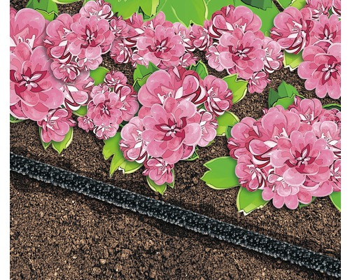 Illustration av trädgårdsbevattning med droppslang bredvid blommor.
