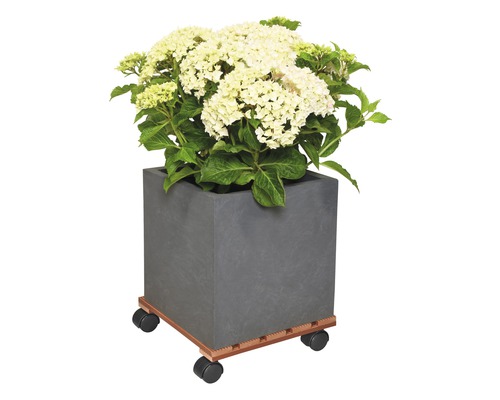 Fyrkantig blomkruka med hortensia på blomvagn