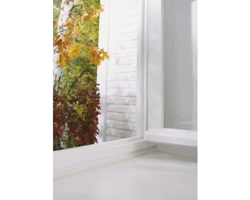 Detaljvy av ett vitt fönster med utsikt över en höstträdgård