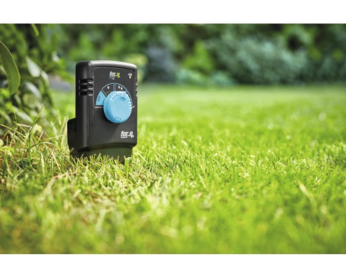 for.q Vattentimer i trädgården