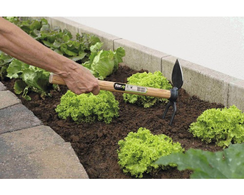 Person arbetar med en kombinationshacka i en grönsaksrabatt.