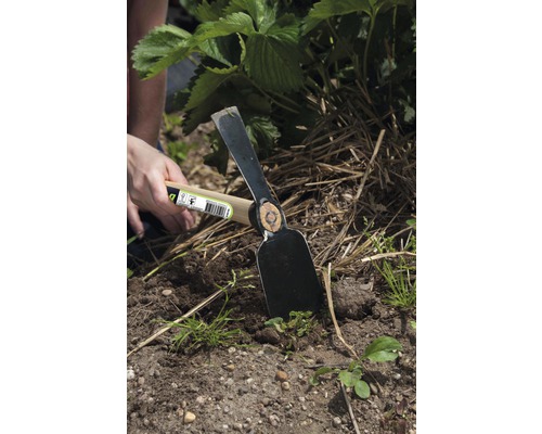 Trädgårdshacka med trähandtag som används för trädgårdsarbete.