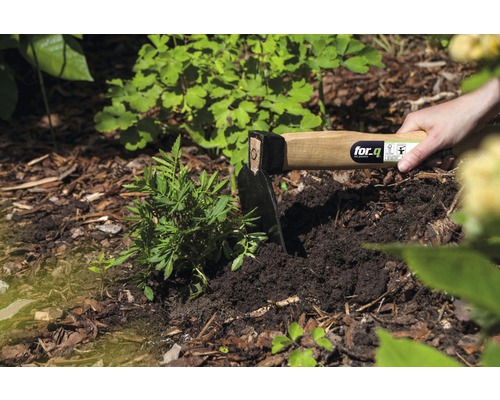 Trädgårdshacka med trähandtag som används för att plantera i jorden