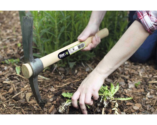 Person tar bort ogräs med en hacka av märket for.q