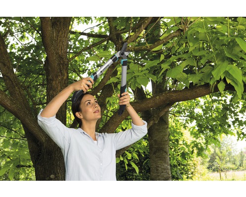 Kvinna beskär trädgrenar med en trädgårdssax.