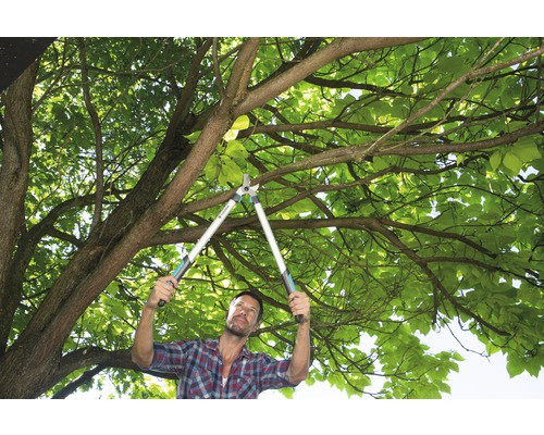 Man som beskär grenar med en grensax i trädet