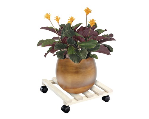 Blommande krukväxt i kruka på en växtrullare