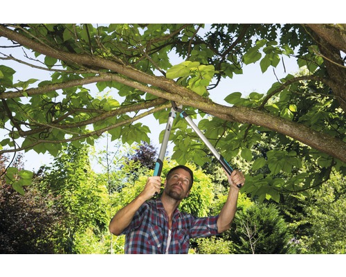 Man beskär trädgrenar med en grensax i trädgården