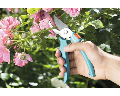 Trädgårdssax klipper rosengren