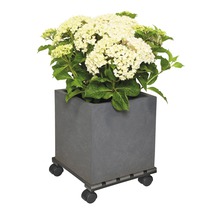 Fyrkantig blomlåda med blommande växt på hjul