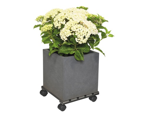 Fyrkantig blomlåda med blommande växt på hjul