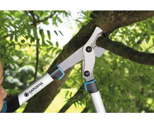 Grenar beskärs med en grensax i trädgården.