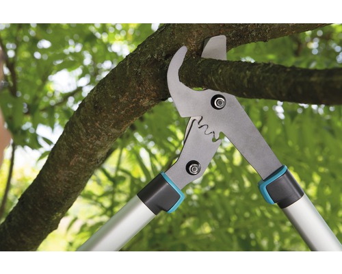 Grensax som klipper en gren i trädgården