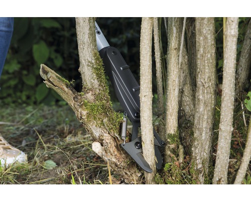 Grensåg som klipper grenar