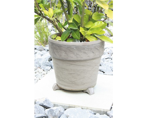 Blomkruka med växt på fötter utomhus