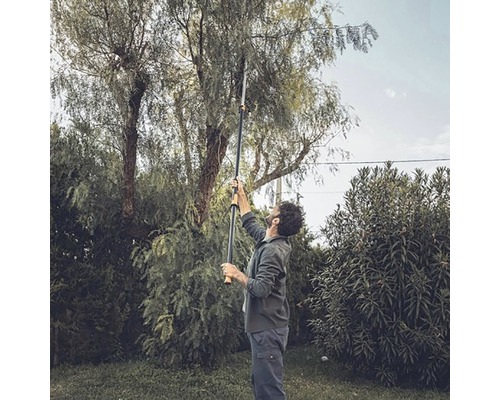 En person använder en teleskopisk grensax i trädgården för att trimma grenar från ett träd.