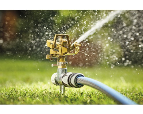 Grässprinkler med vattenslang i drift